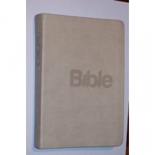 Bible21 - šedá