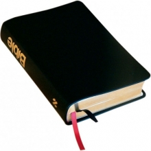 Bible21 Gold