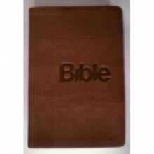 Bible21 - hnědá